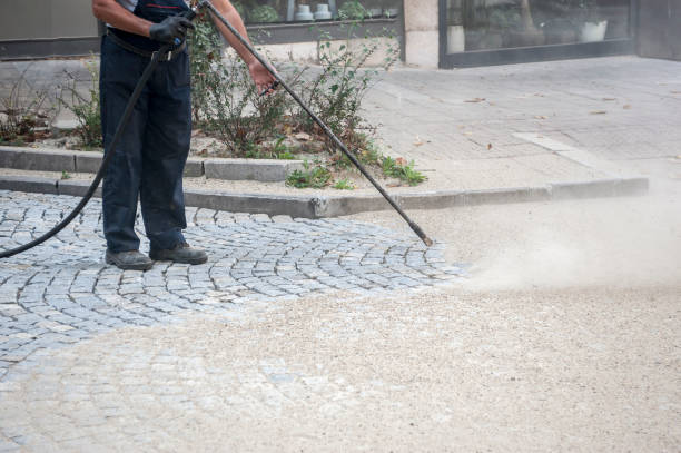 Best Animal Enclosure Cleaning  in Sa De Oro Mount Helix, CA